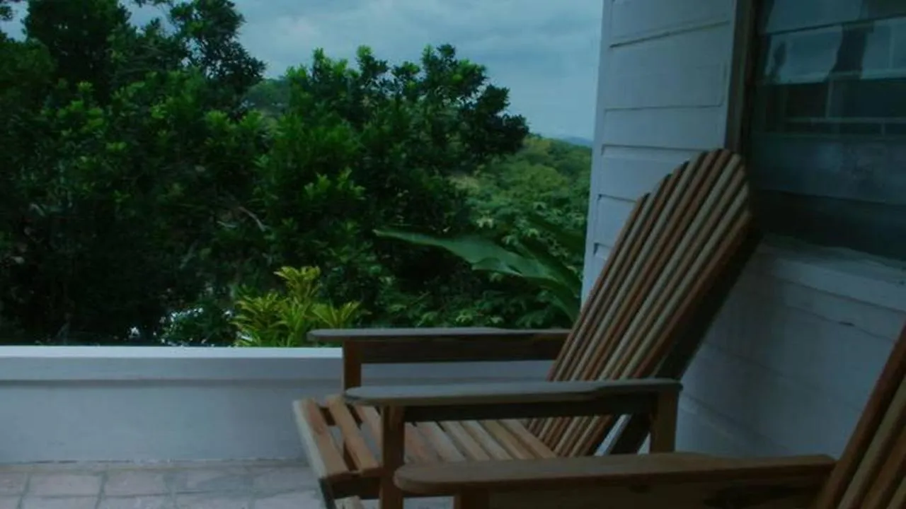 Kingsworth Bed And Breakfast Kingston Jamaica