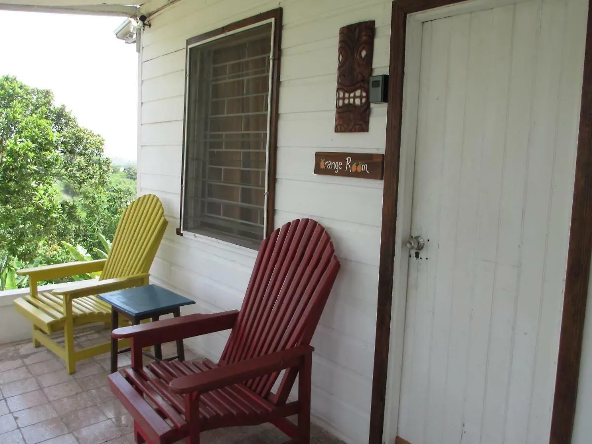 Kingsworth Bed And Breakfast Kingston Jamaica