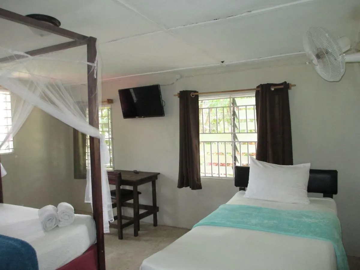 Kingsworth Bed And Breakfast Kingston